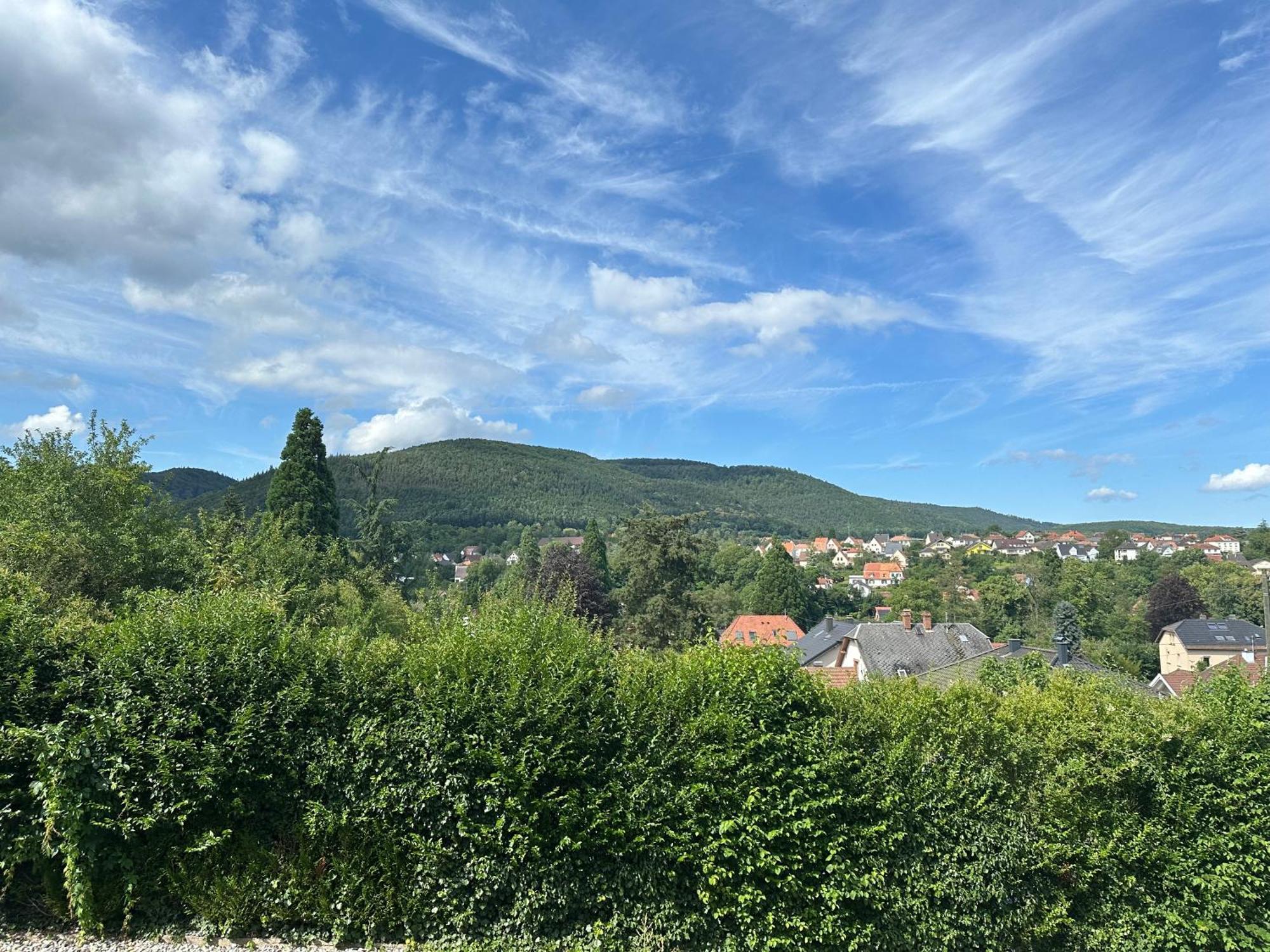 Horizons Du Haut Niederbronn-les-Bains Exterior foto